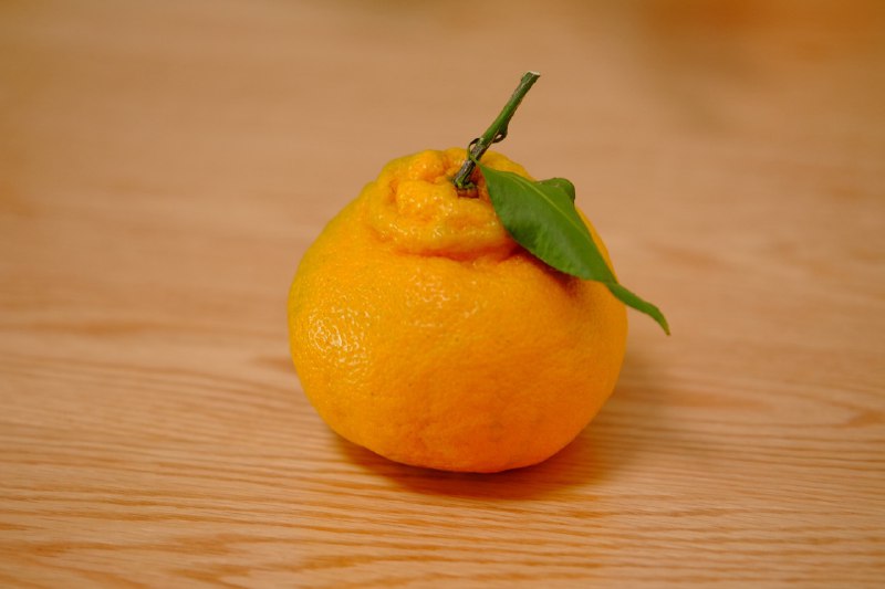 🍊🍊🍊